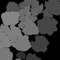 Mask image with each unique feature identified by a gray value.